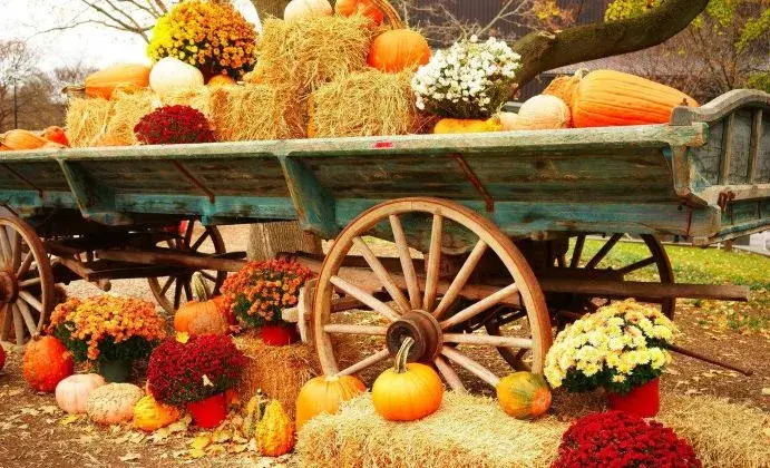 德国感恩节(erntedankfest,又叫丰收节)发展自德国传统习俗,为了感谢