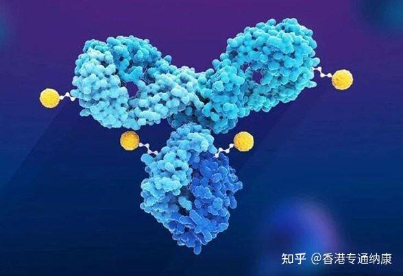 adc抗体偶联药物ds8201enhertu非小细胞肺癌疾病控制率达923