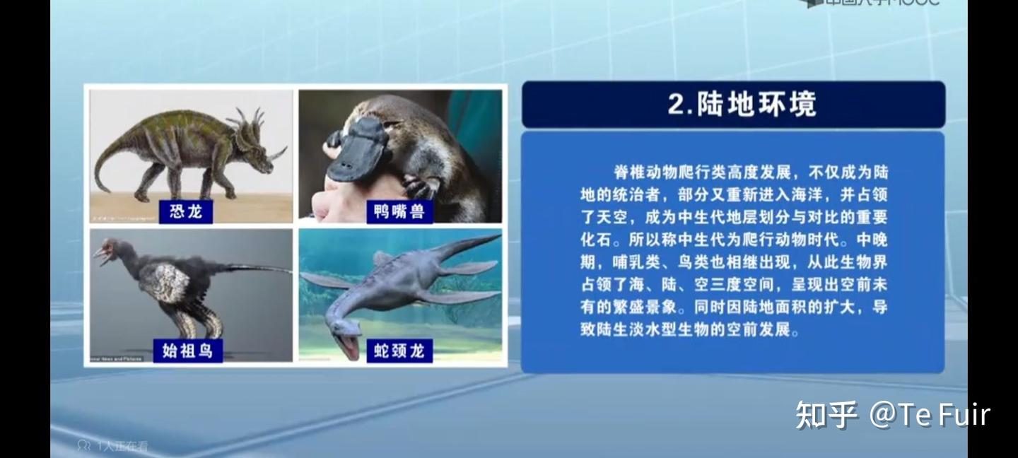 古生物地史之中生代 - 知乎