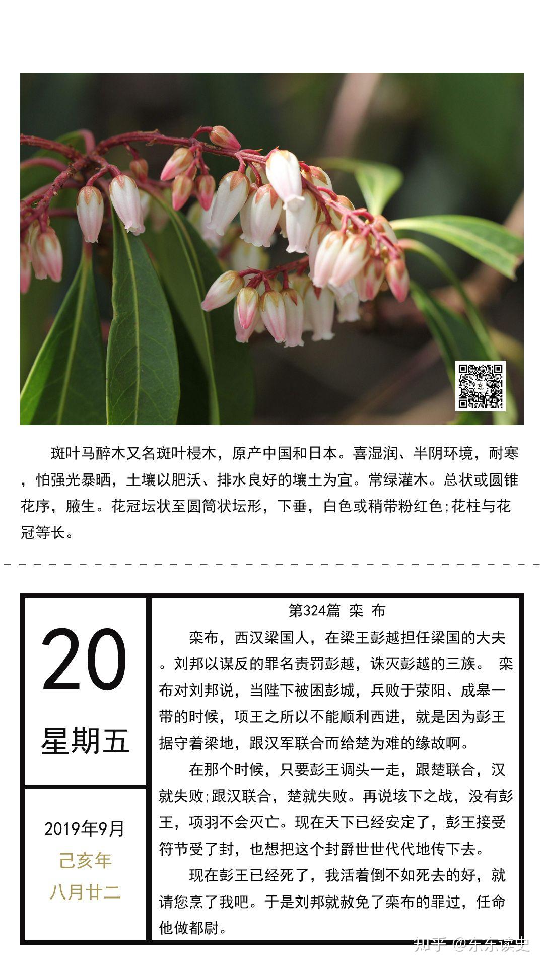 第324篇 栾布 - 知乎