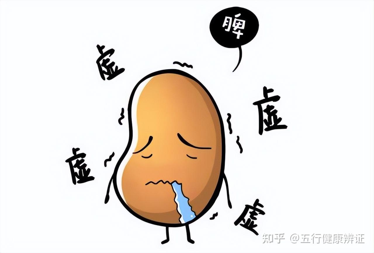 脾胃有“运水”和“化湿”之能!调治:脾虚有湿,应平以辛热 - 知乎