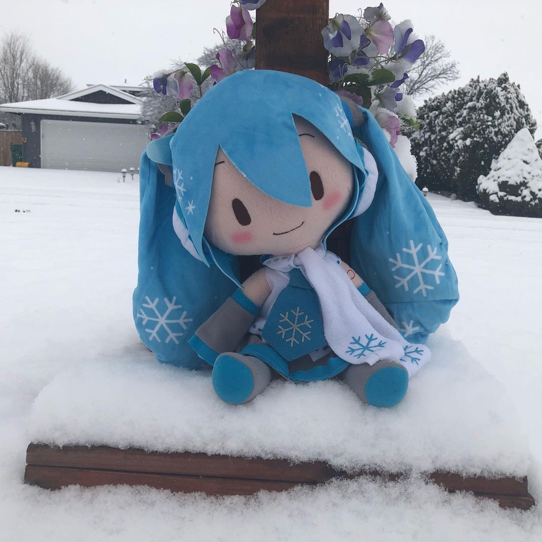 初音fufu玩偶头像 - 知乎