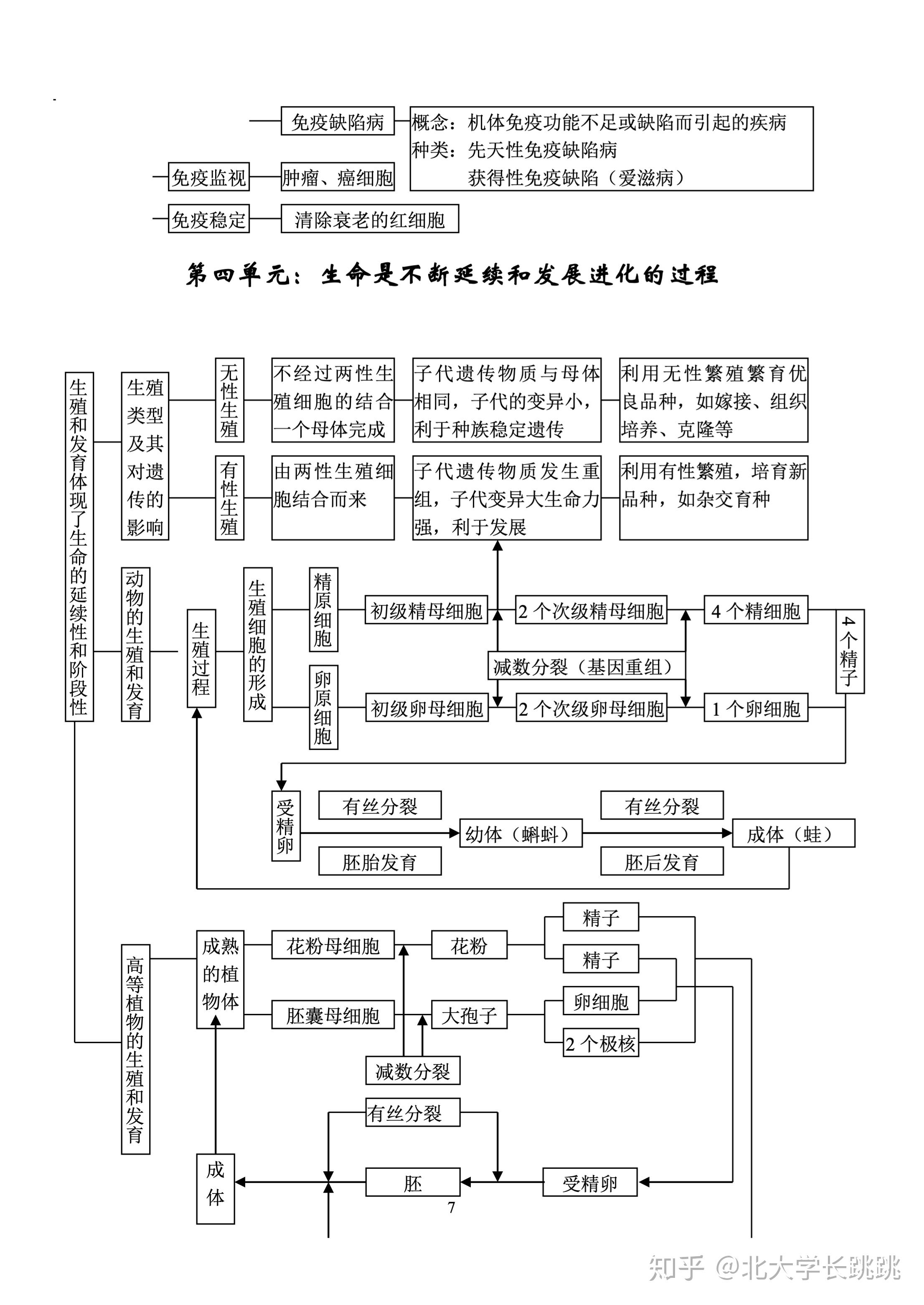 高考状元的高中生物知识框架图