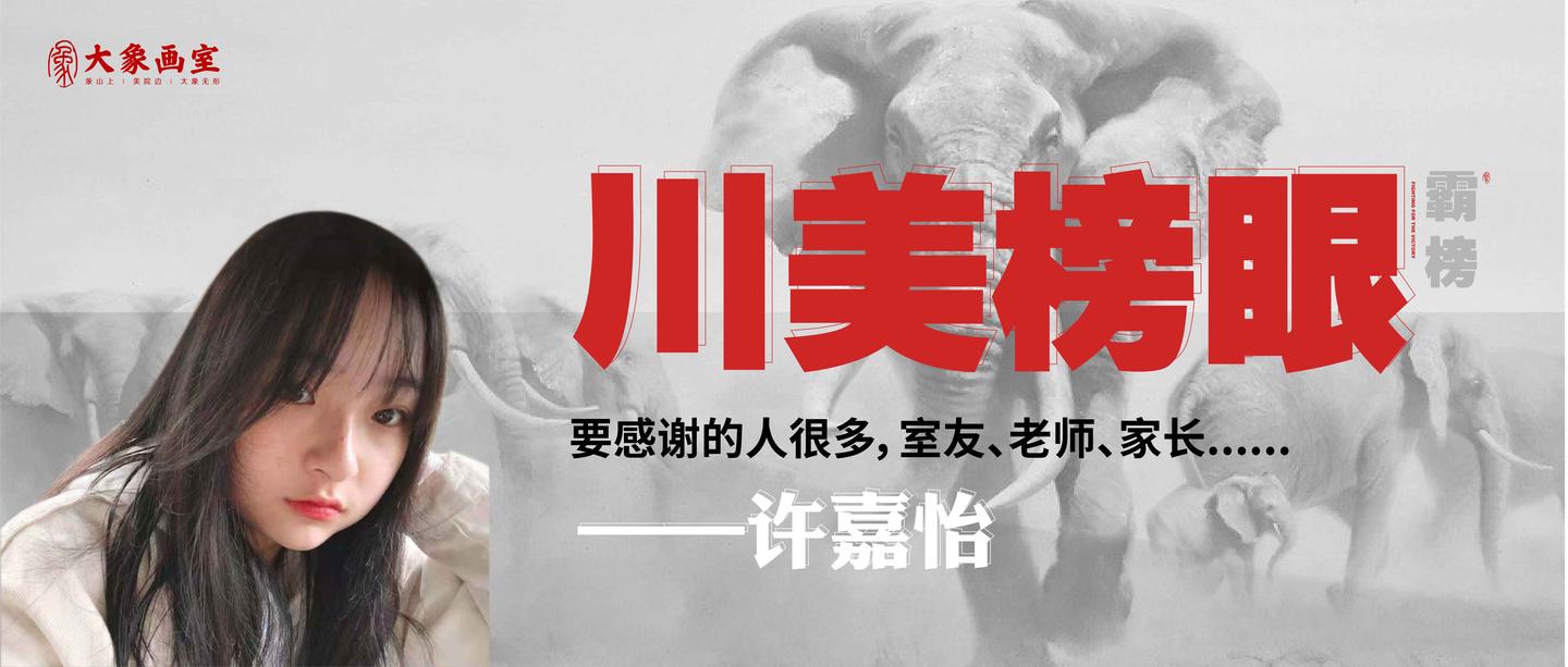 许嘉怡国美折戟的她没有放弃最终斩获川美榜眼