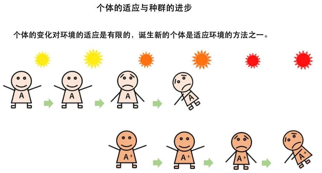 每一种生物从出生开始就启动了死亡序列,这也是生物进化的必然选择.