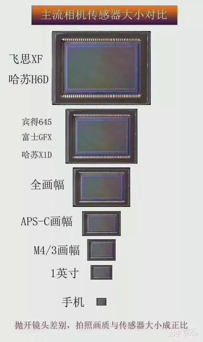 单反天梯图2021图片