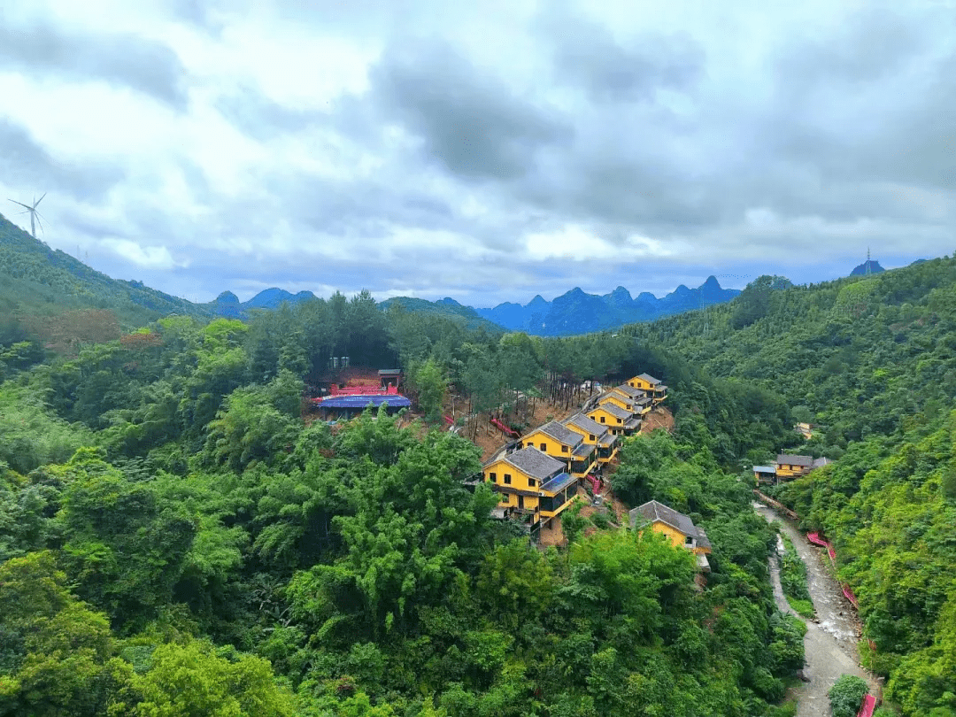 官宣5月16日广西马山县这场直播不可错过