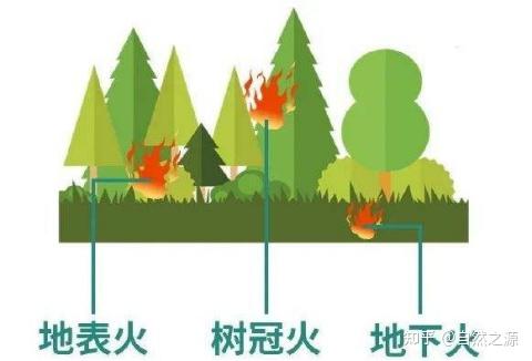 林下红外线自动报警器地表火探测器的原理小科普