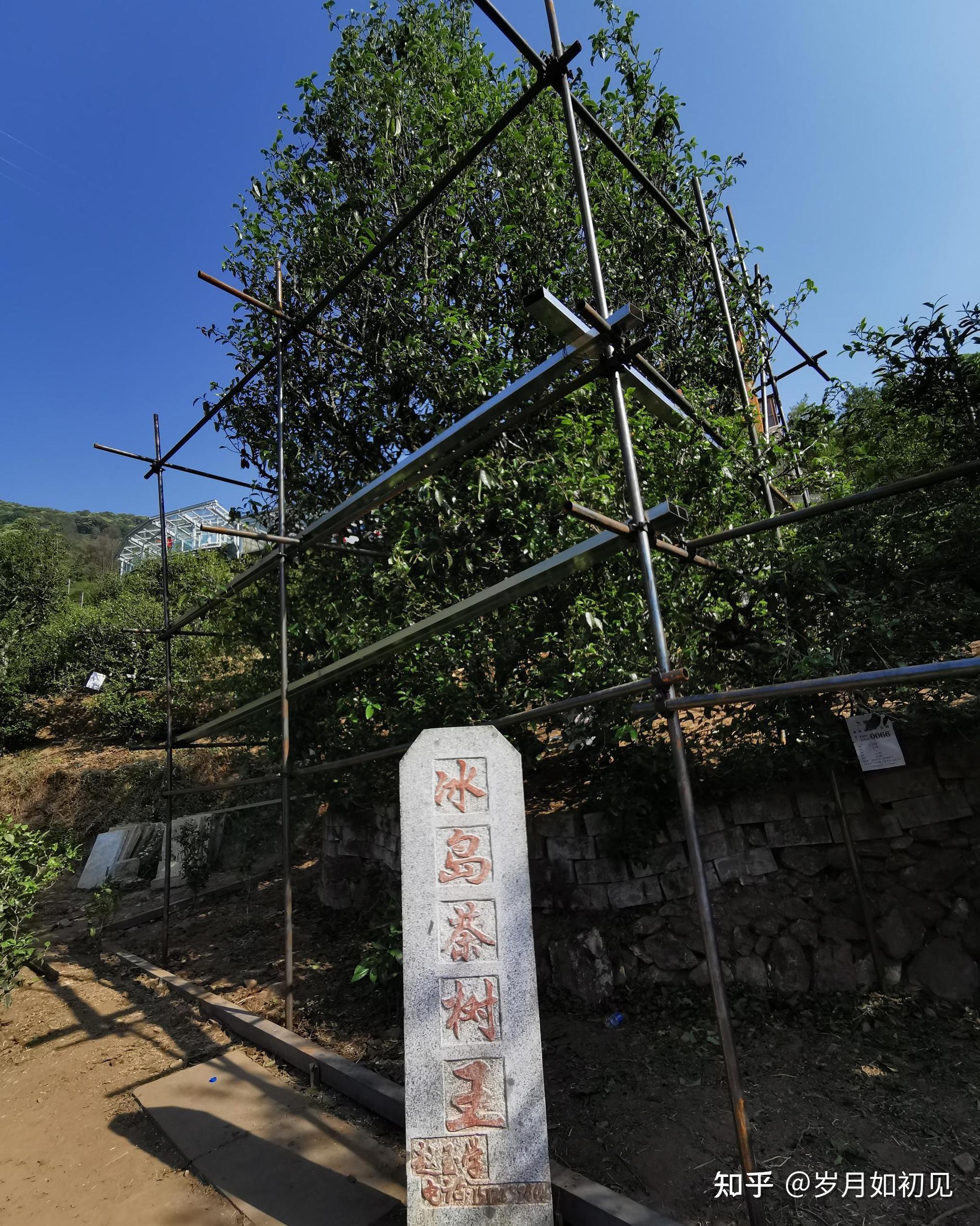 冰岛老寨何以为后