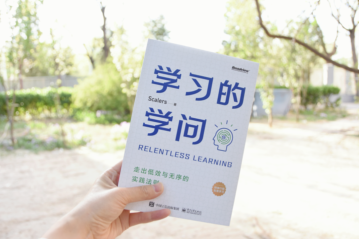 scalers学习就像吃饭到点就要学