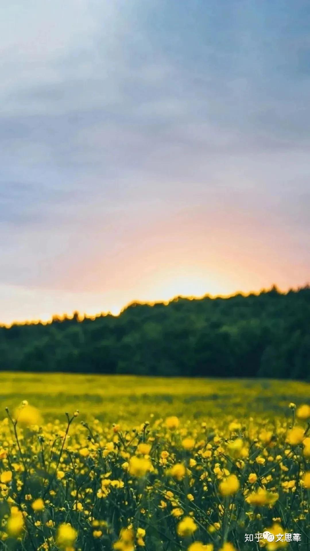 每日摘抄 - 知乎