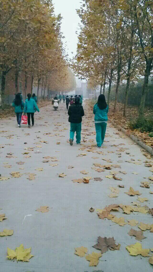 在武陟一中就读是一种怎样的体验