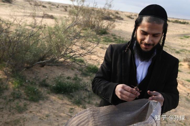 蝗虫蜥蜴中guang东人还有什么不敢吃的地球知识局