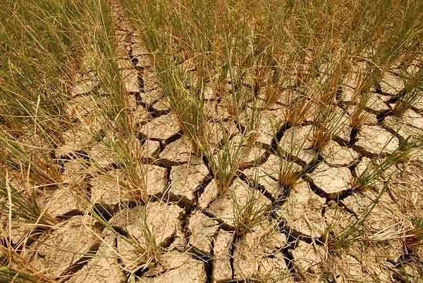 山西此轮强降雨太原被倒进约98个西湖水量为何会有如此大水量目前情况