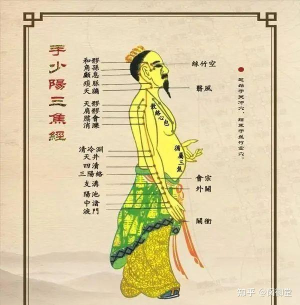 【三焦经】人体的出气筒,女人最重要的一条经络! - 知乎