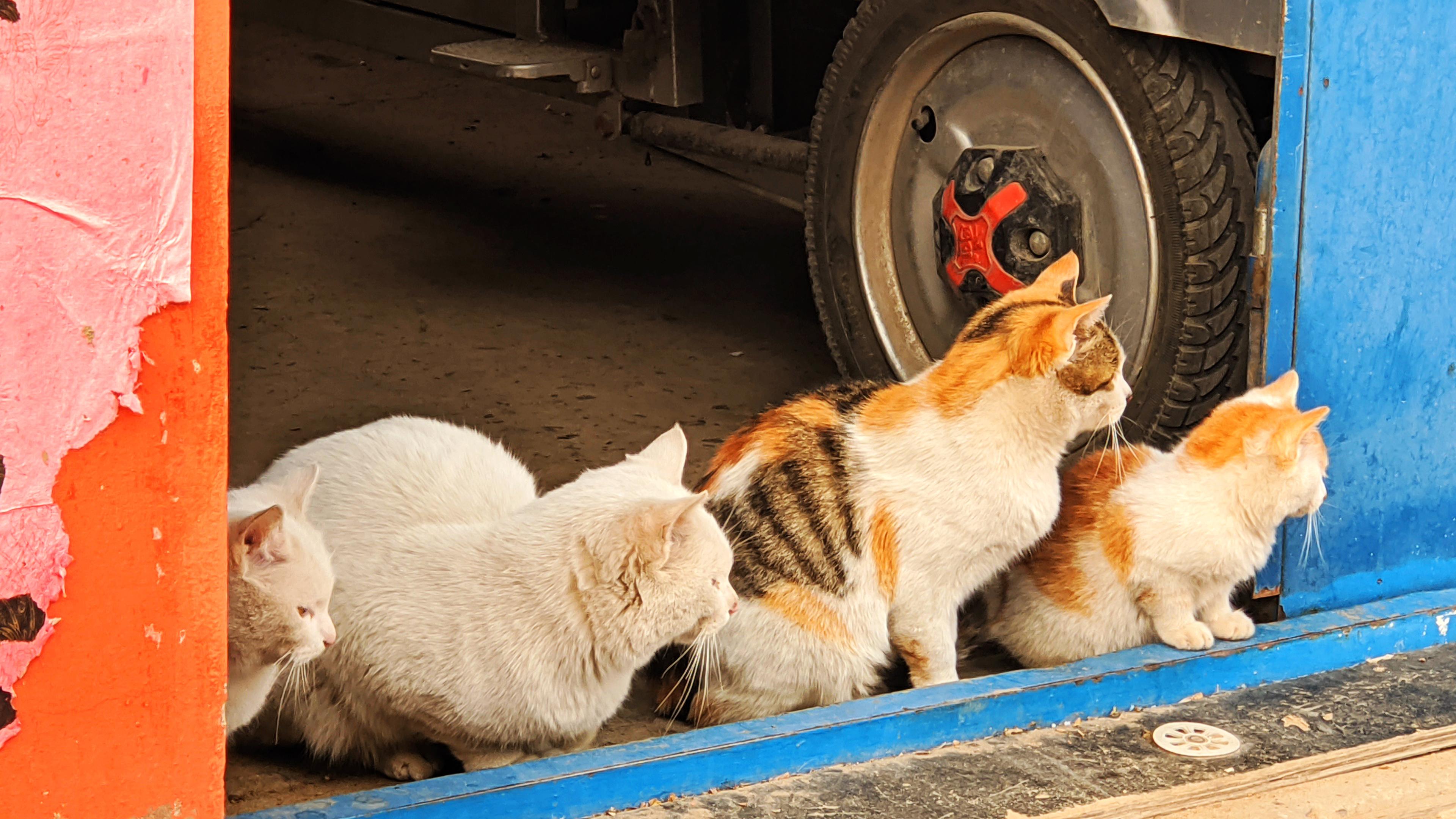 在你的相册里,最具有生活气息的是哪张照片?背后有什么故事? - 知乎