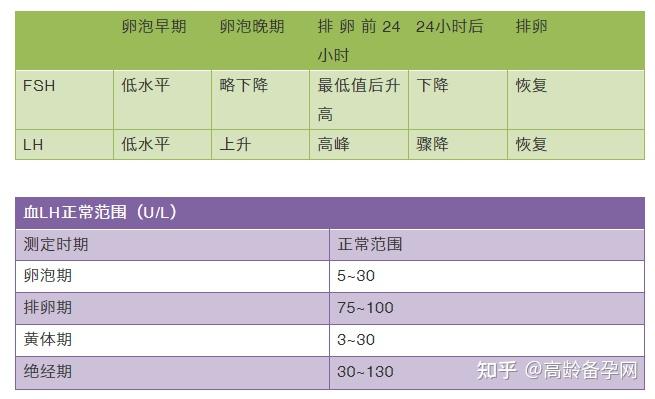 fsh生理作用:促進卵泡成熟及分泌雌激素lh生理作用:促進排卵和黃體