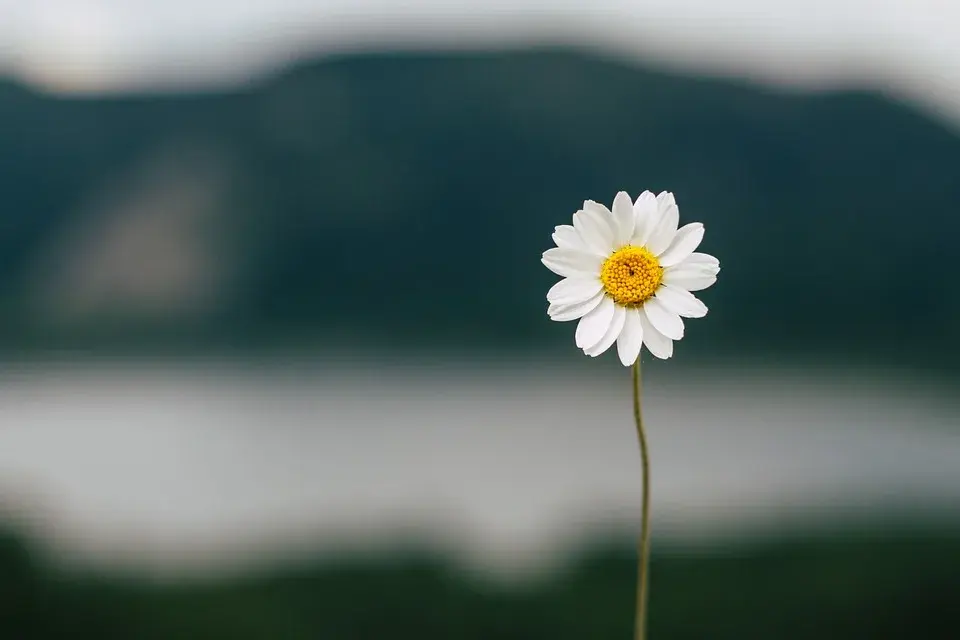 不為不值得的人生悶氣祝你有個好心情