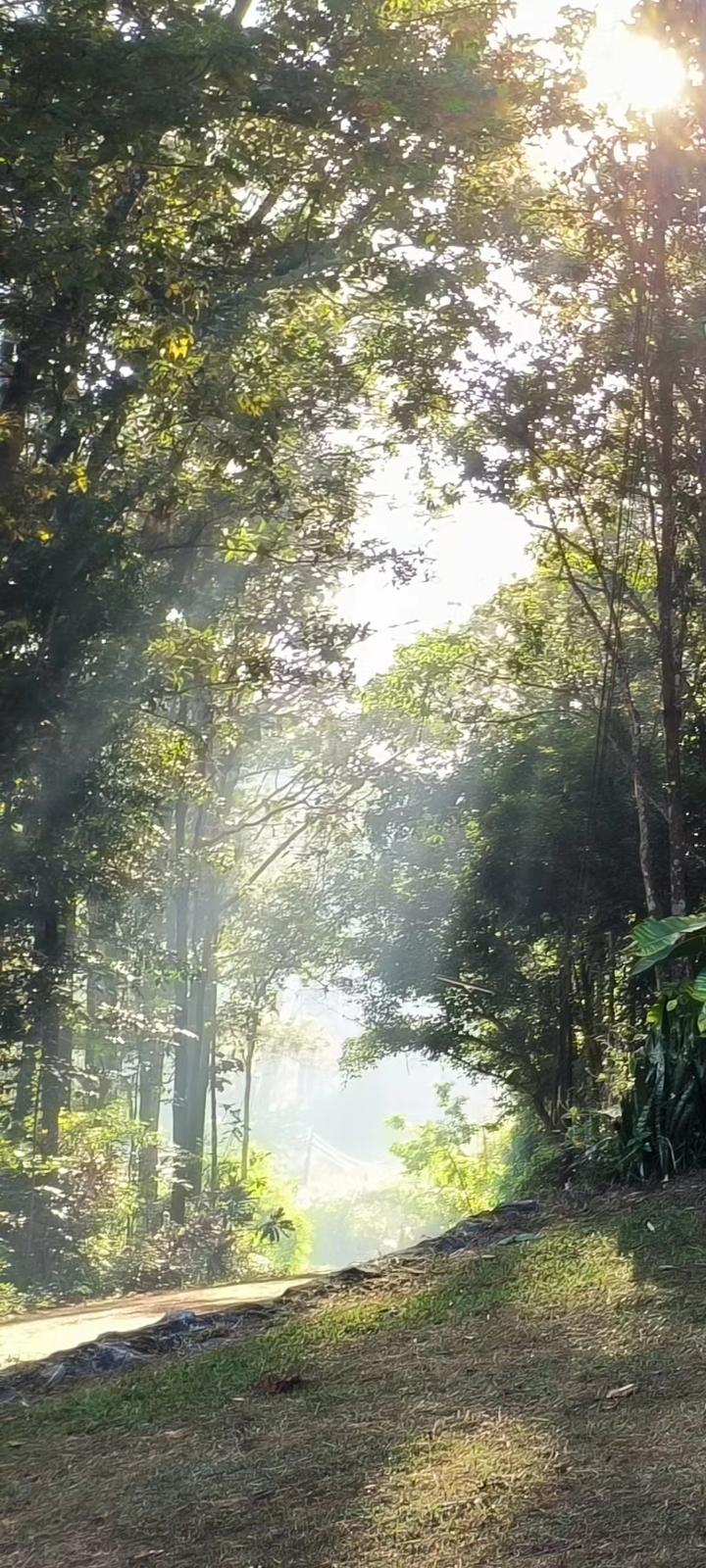 Camp Son 山中禅修散记(下) 知乎