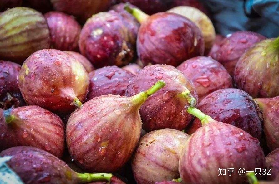 金的价格今天多少一斤 v2-983a5e16e3f9262c60987e4090615724_r.jpg