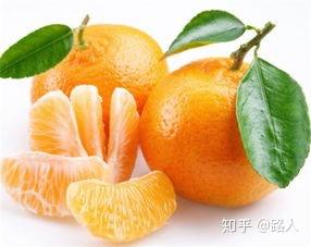 v2-983ae0a2a185c4618a3a2dedc2c0078c_b.jpg