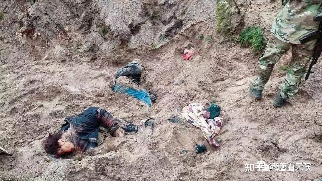 俄乌战争第39天对布查平民的杀戮令人发指