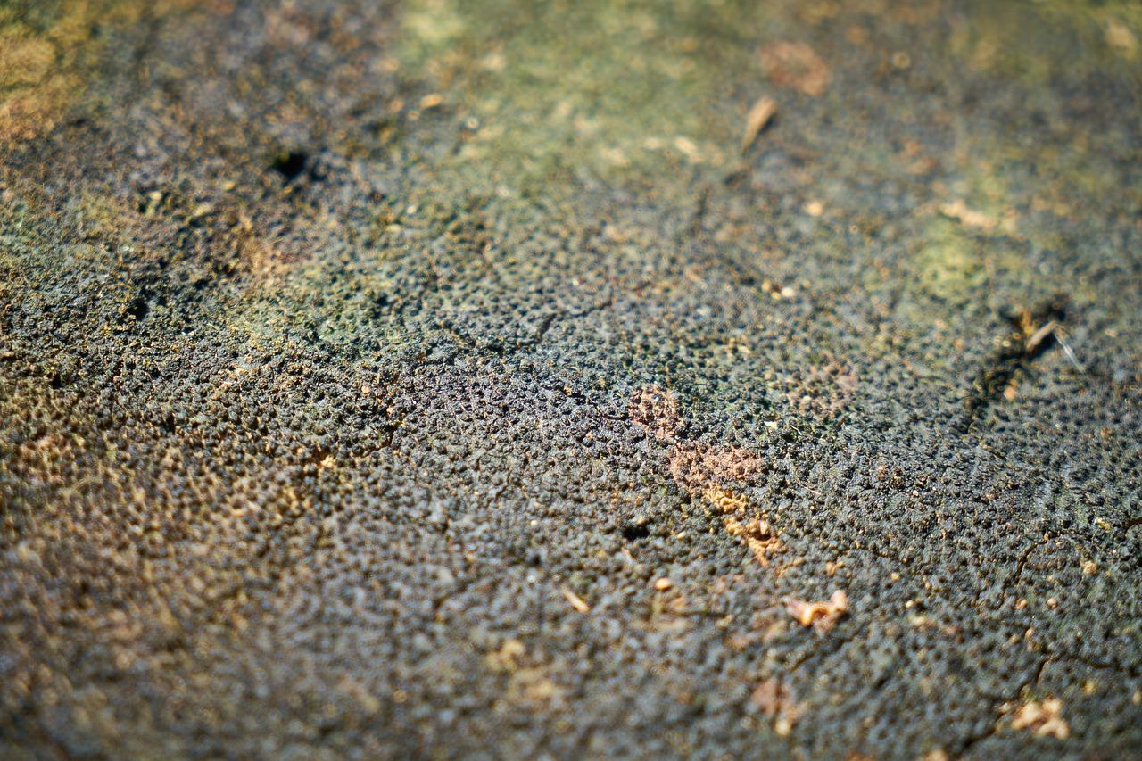 墙面划痕修复方法