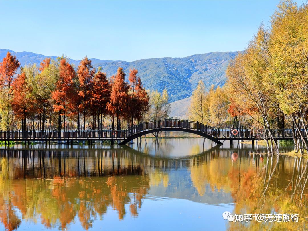 大理洱源茈碧湖,水杉风景,这里独好!(附美图)