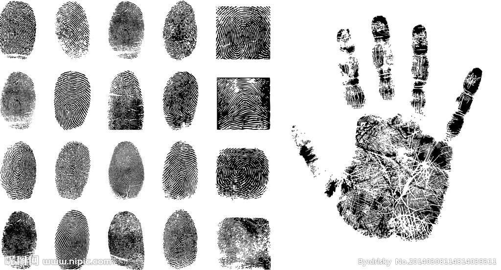 【皮纹学】怎样利用指纹和掌纹评估学习与运动潜力