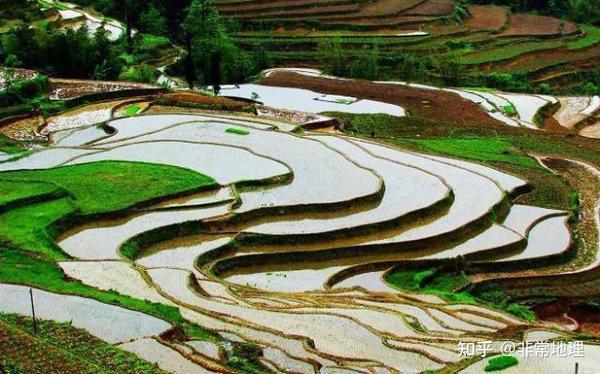 地理视角看梯田考点,附中国10大最美梯田 - 知乎