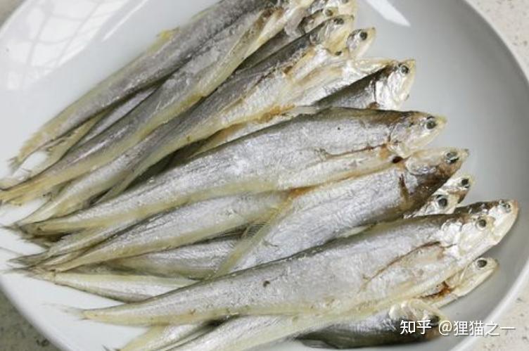 毛叶鱼曾是太湖“致富经”,一网能捞6万斤,如今却被渔民嫌弃? - 知乎