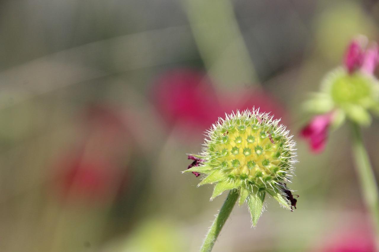 2. 预防褪色技巧
