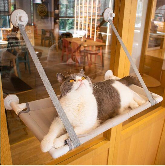 自制猫吊床简单图片