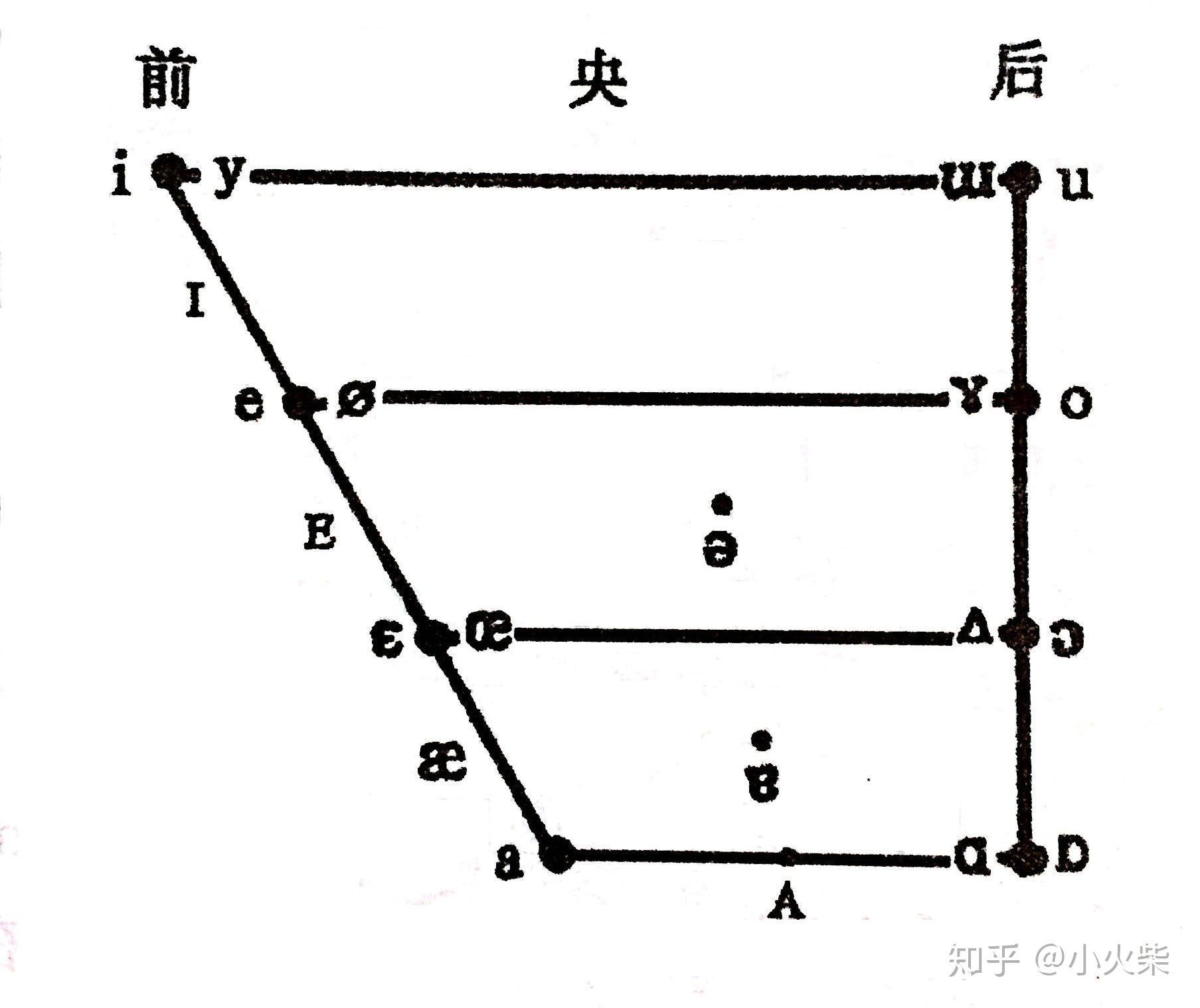 舌面元音 舌位图图片