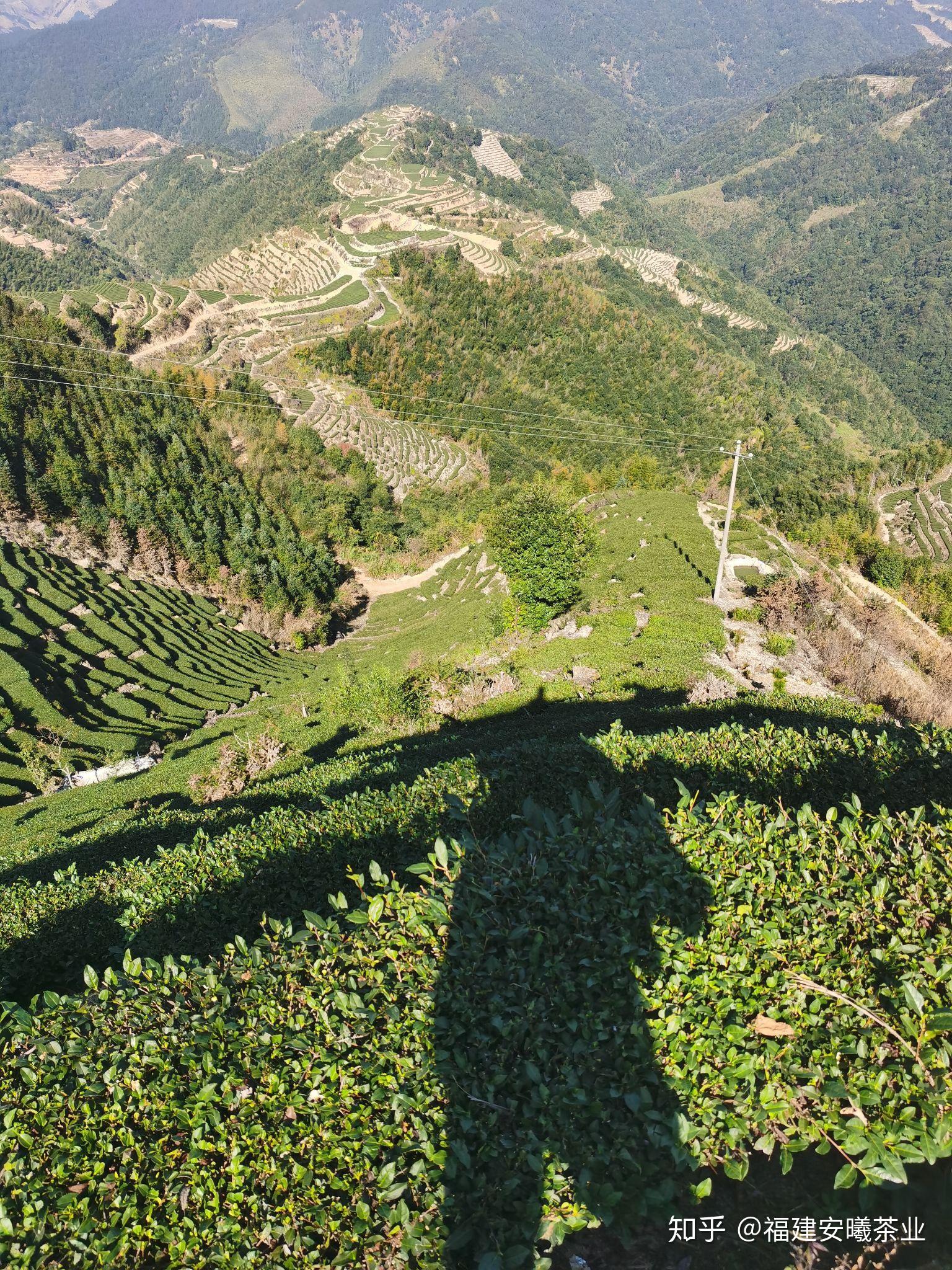 内安溪之龙涓 - 知乎