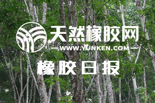 橡胶期货保持上周震荡上扬态势「20240520」