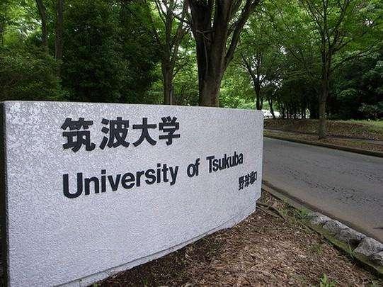 筑波大学优势专业有哪些 知乎