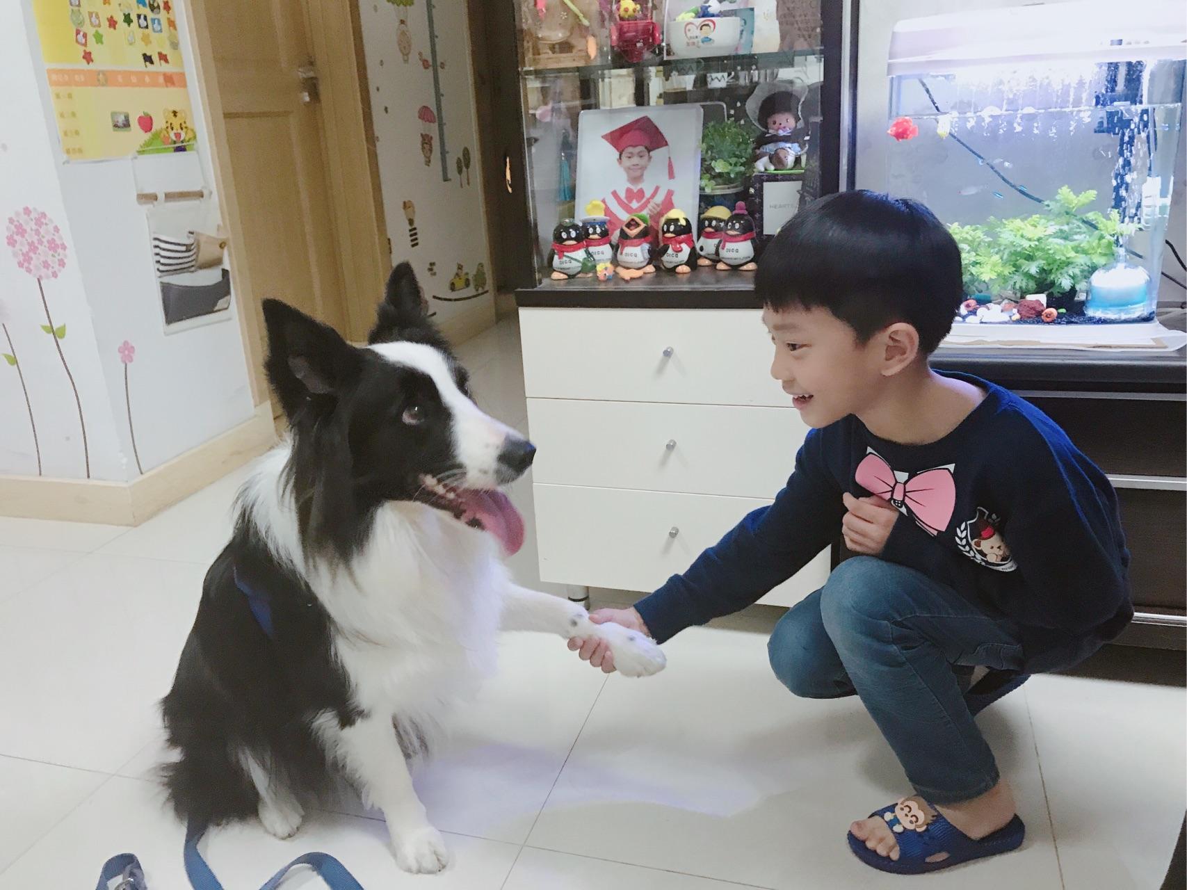 日本媽媽每天給狗狗和孩子拍照，這畫風…也太可愛了吧！ | 尋夢寵物