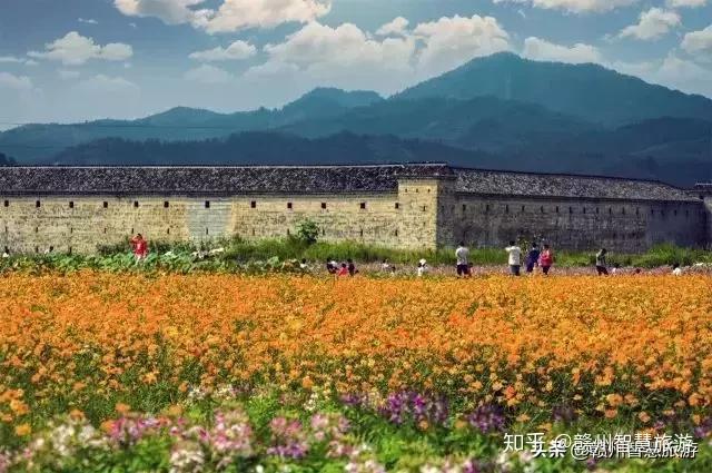 岗乡游玩攻略,岗乡游玩攻略大全