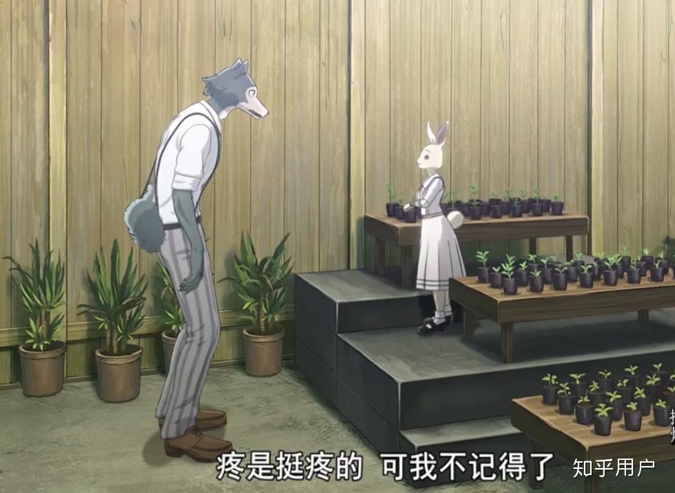 如何评价《动物狂想曲》中的兔子春? - 知乎