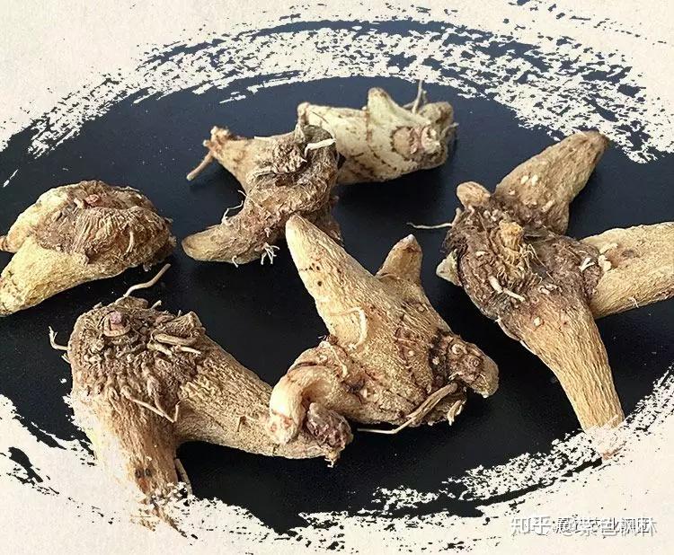 白芨种植步骤和方案 - 知乎