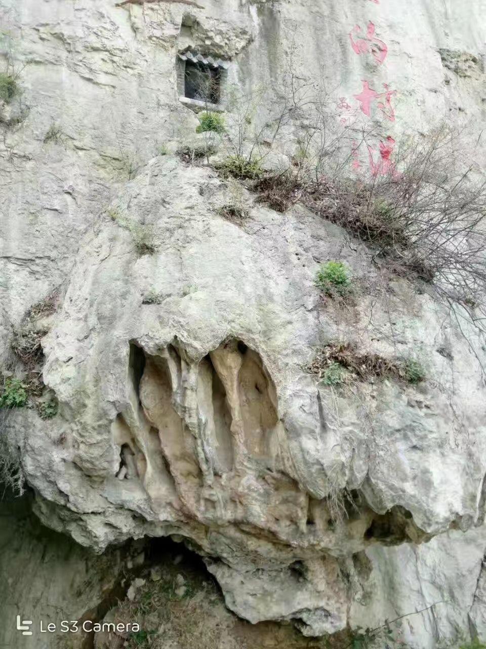 牛记庵