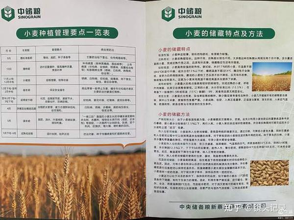 中央储备粮新蔡直属库:发挥储粮技术优势 服务“三农”助力增收 - 知乎