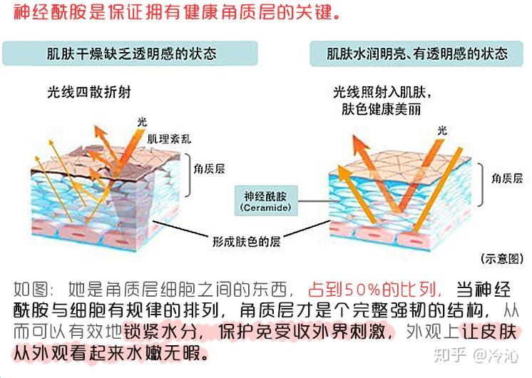 什么是皮肤维稳搞清楚不吃亏