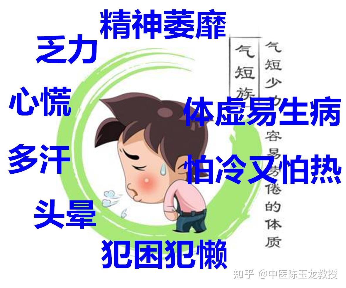 气不足，身体虚！四味中药，心肝脾肺肾之气统补，让你元气满满 - 知乎