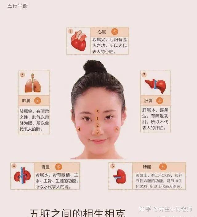 中医面诊之基础知识，五色-五味-五脏-五行 - 知乎