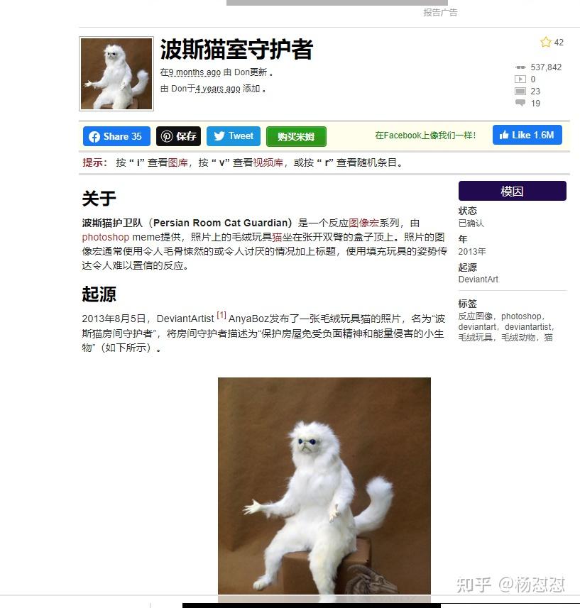摊手表情包来自哪里?