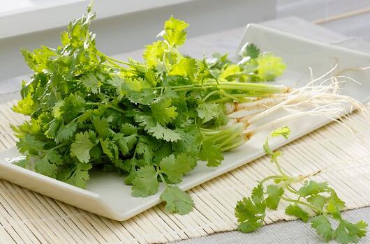 吃香菜的时候,要注意这些禁忌