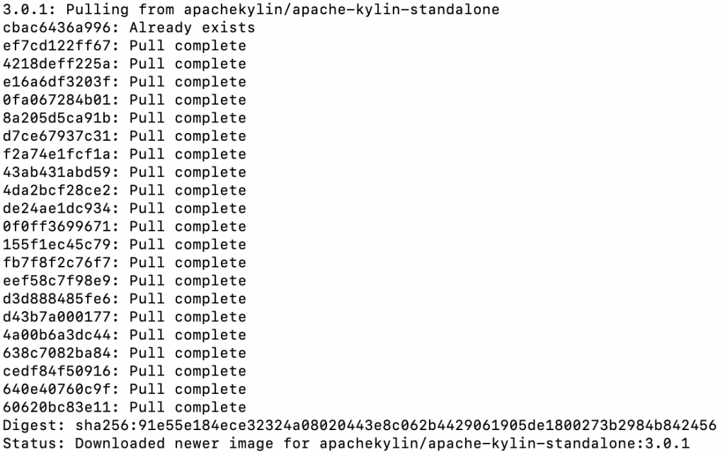 Kylin 初入门 | 从下载安装到体验查询 Kylin 初入门 | 从下载安装到体验查询