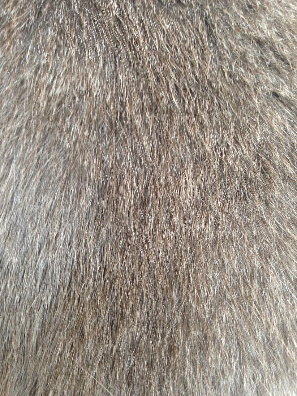 3. 毛皮清洁效果佳